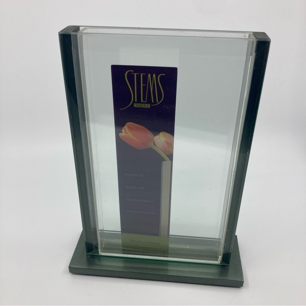 New Stems Vases vertical sleek glass vase anacortes WA - Picture 2 of 10